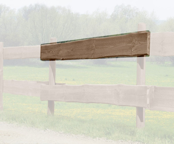 Zaunbohle Kiefer kdi braun Länge 240cm