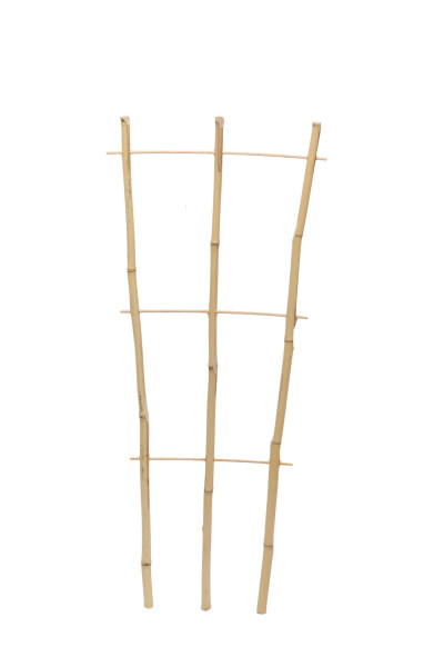 Pflanzgitter Bambus floraworld 32x75cm