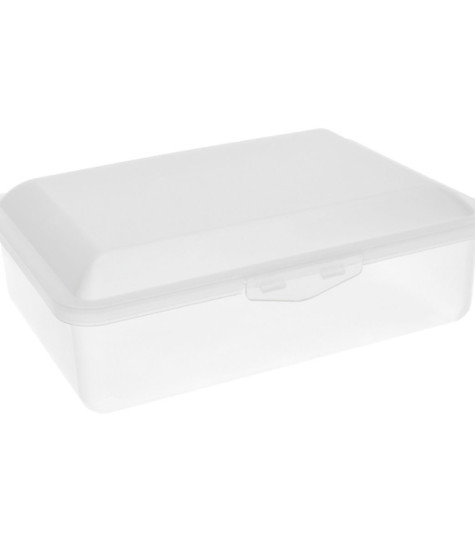 BUCHSTEINER @ HANSI Brotdose Klickbox 19x13,5x6cm transparent