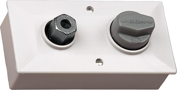 Wanddose / Minidose PS 6 bar mit Regler 8 mm