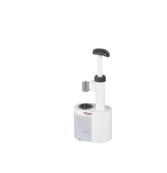 Pflaumenenkerner "Prunus"