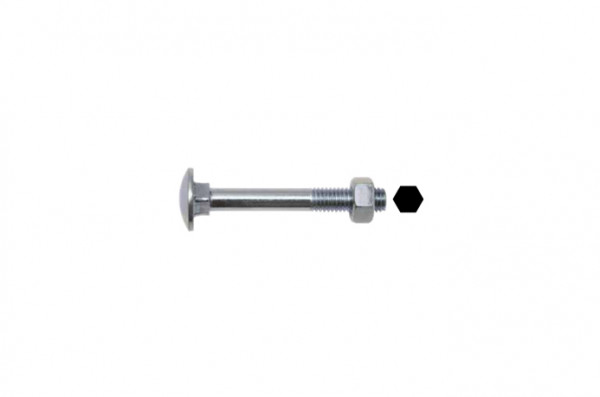 SWG Flachrundkopfschraube verzinkt DIN603 6x80mm 25 Stück