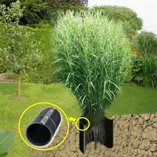 Wurzelsperre / Rhizomsperre Noor 0,7x50m