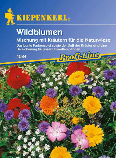 Saatgut Wildblumen mit Kräutern, Mischung ein- und mehrjähriger Arten