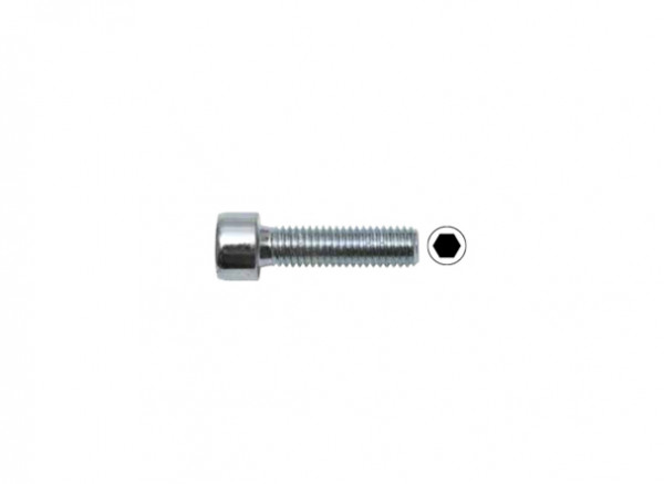 SWG Innensechskantschraube verzinkt DIN912 4x30mm 10 Stück