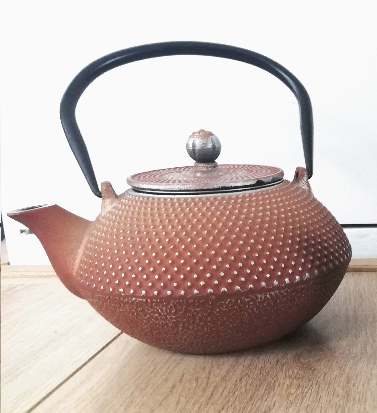 Gußeiserne Wasser/Teekessel mit emaillierten Innensicht