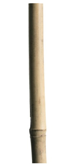 Floraworld® Bambus Pflanzstab Classic 150cm