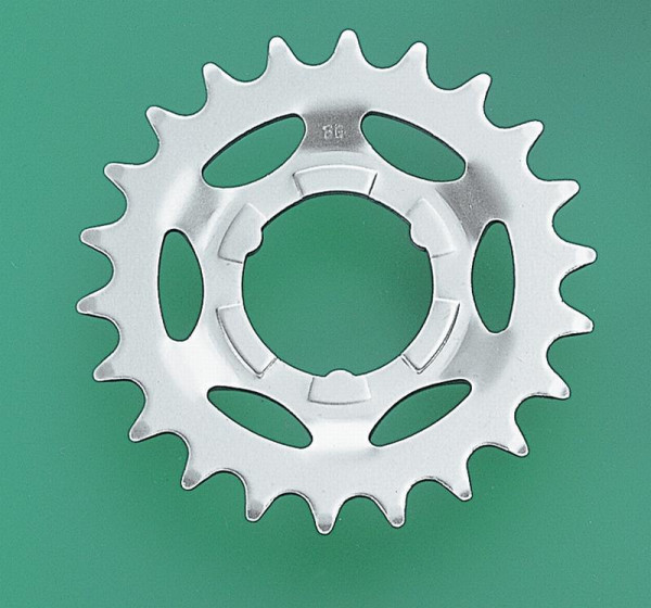 Steckritzel 20 Z