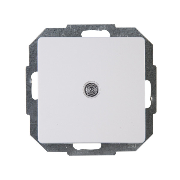 Taster beleuchtet 10AX, 250V~, PARIS, arktis