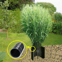 Vorschau: Wurzelsperre / Rhizomsperre Noor 0,7x50m Vorschau: Wurzelsperre / Rhizomsperre Noor 0,7x50m