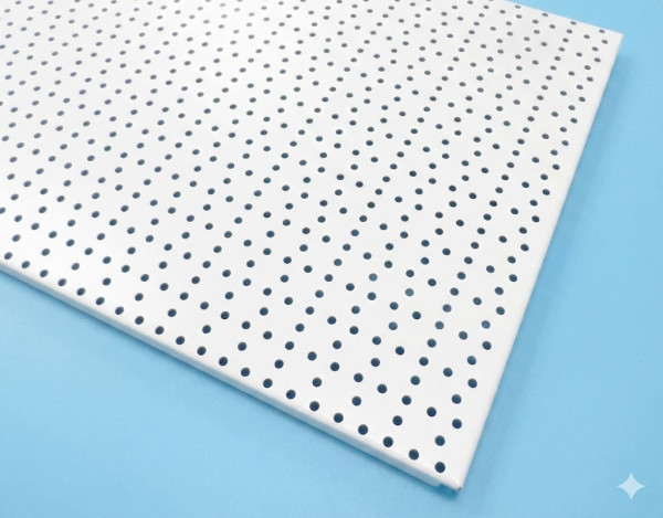 Tegometall Rückwand Rundloch L100 x H40 cm Juraweiß (Gebraucht)