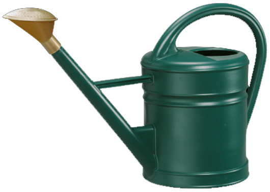 Innaffiatoio Geli Da 1 Litro In Plastica, Colore Verde Menta