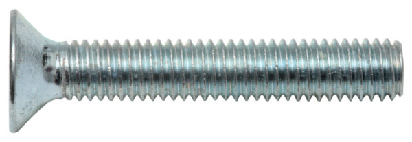 Senkschrauben M5 × 30 mm, Innensechskant, verzinkt, DIN 7991, 8 Stück