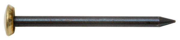 Bildernägel 2,0 × 20 mm, gebläut, mit Messingkopf, 20 Stück