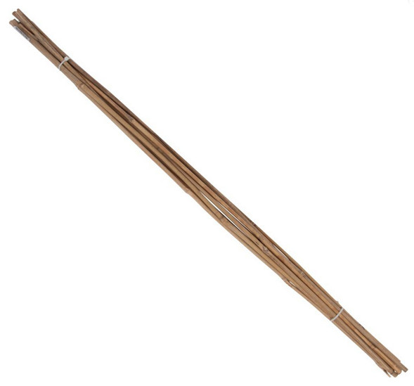 Floraworld® Tonkinstab Classic 120cm 5 Stück