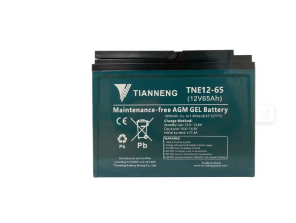 Batterie Akku Seniorenroller Kabinenroller Elektrofahrzeuge 12V 65AH