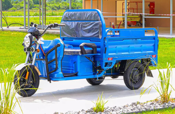 Cargo Muli 300 E-Transporter Lastentransporter Mofa-Transporter