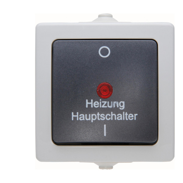Heizungshauptschalter Aufputz grau