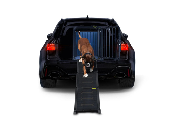 Einstiegshilfe / Hunderampe 4pets Easy-Steps