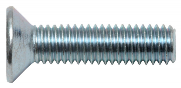 SWG Gewindeschraube PH SK verzinkt DIN965 4x16mm 50 Stück