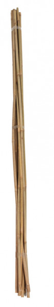 Floraworld® Tonkinstab Classic 90cm 10 Stück